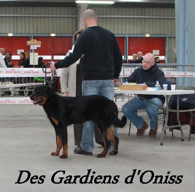 Des Gardiens D'oniss - Exposition de Niort